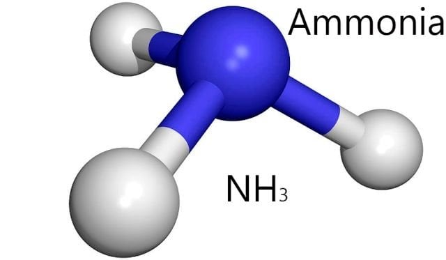 amonyak ammonia solution